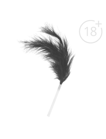 Чулки и перо в наборе для двоих «Интим», 4 в 1 (5 карт, перо, чулки, маска), 18+ , изображение 3