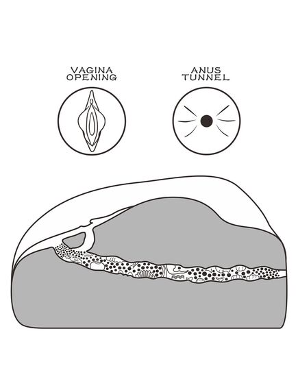 Мастурбатор вагина-анус Streetgirl's №1 Black , изображение 7