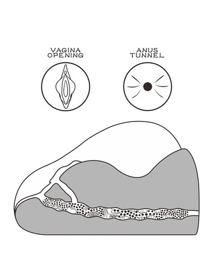 Мастурбатор вагина-анус Streetgirl's №2 Black , изображение 7