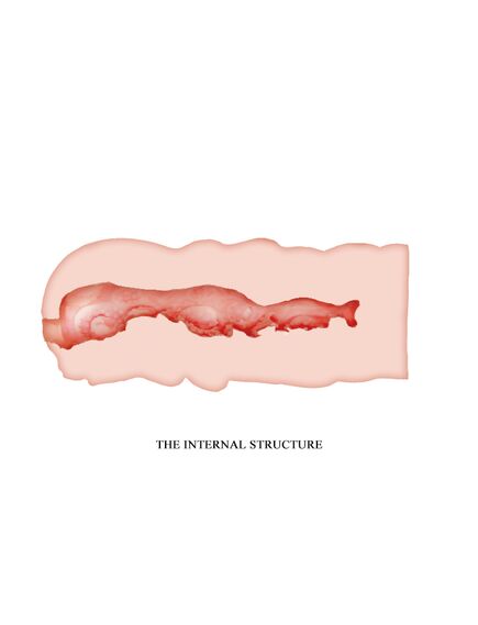 Мастурбатор вагина с вибрацией , изображение 7