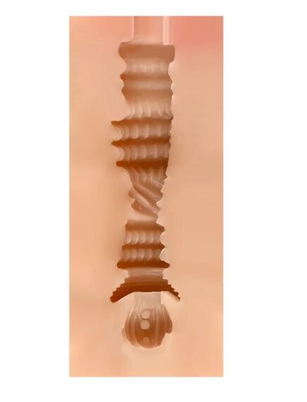 Реалистичный мастурбатор вагина "Regina" , изображение 4