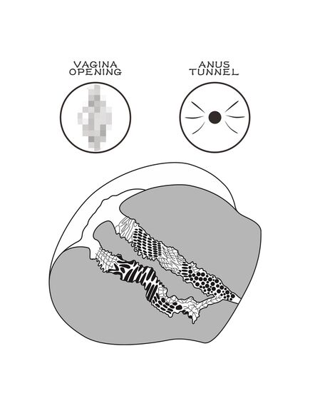 Мастурбатор попка "StreetGirl`s №13" , изображение 16