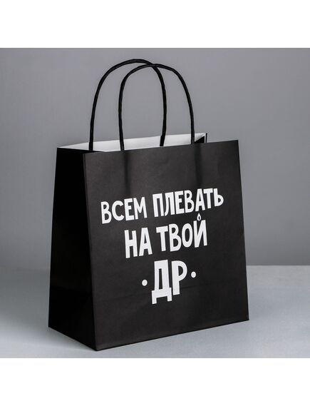 Пакет подарочный «Всем плевать на твой др», 22 × 22 × 11 см 