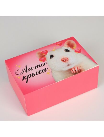 Коробка сборная «Крыса», 18 × 12 × 8 см 