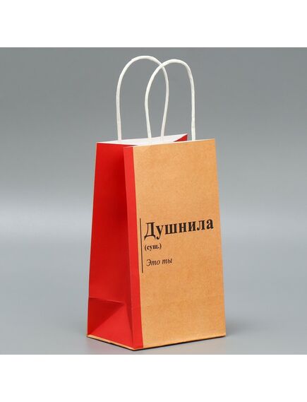 Пакет подарочный крафтовый «Душнила», 12 × 21 × 9 см 